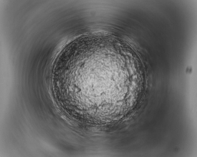 X0000113980241200910021144