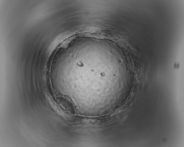 X0000113980242200910021144