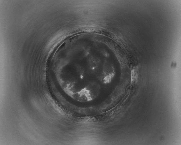 X0000113980243200910021144