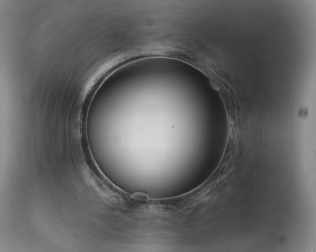 X0000113980244200910021144