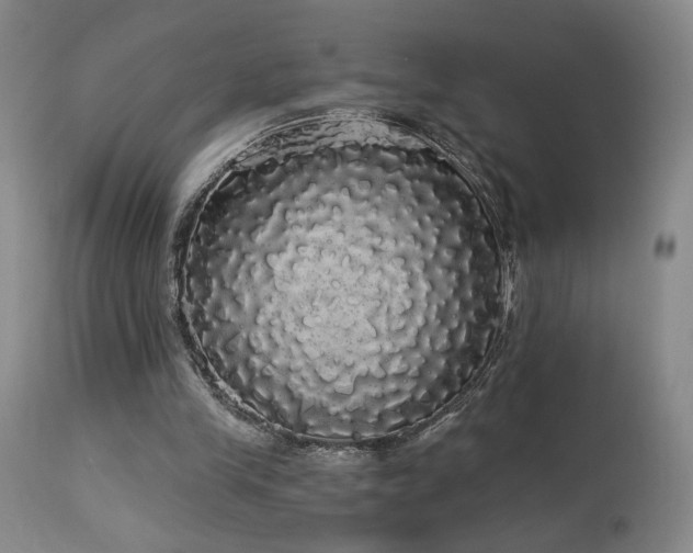 X0000113980245200910021144