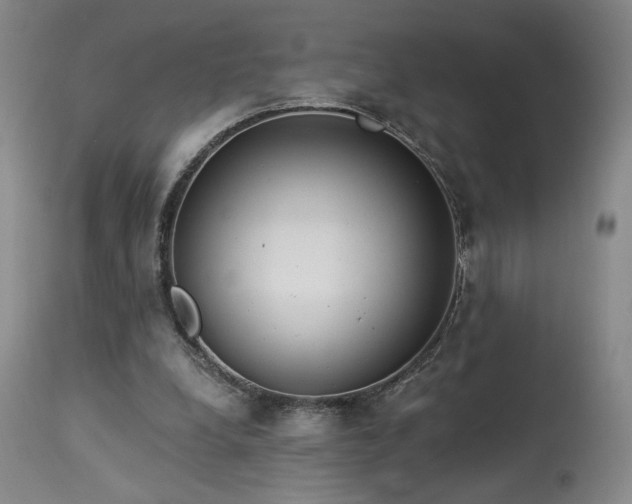 X0000113980248200910021144