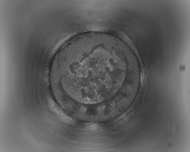 X0000113980249200910021144