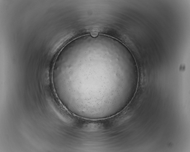 X0000113980251200910021144