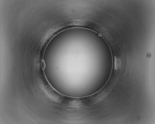 X0000113980252200910021144