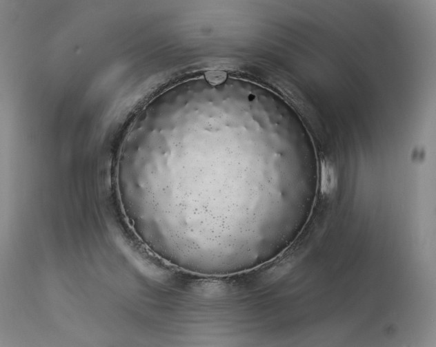 X0000113980253200910021144