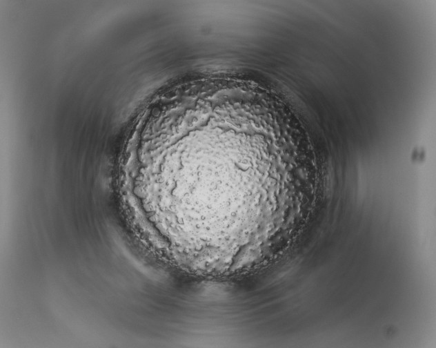 X0000113980255200910021144