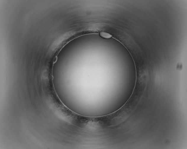 X0000113980256200910021144