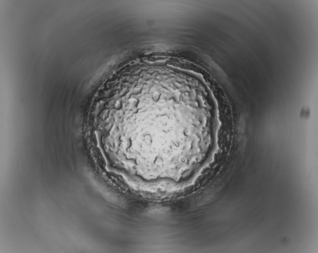 X0000113980257200910021144