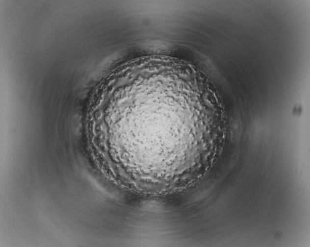 X0000113980259200910021144