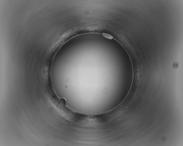 X0000113980260200910021144