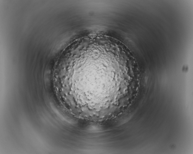 X0000113980263200910021144