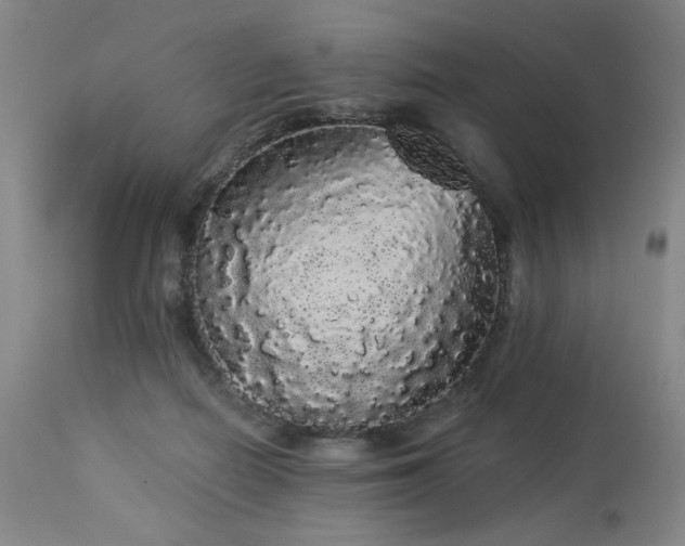 X0000113980266200910021144