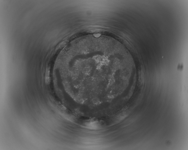 X0000113980267200910021144