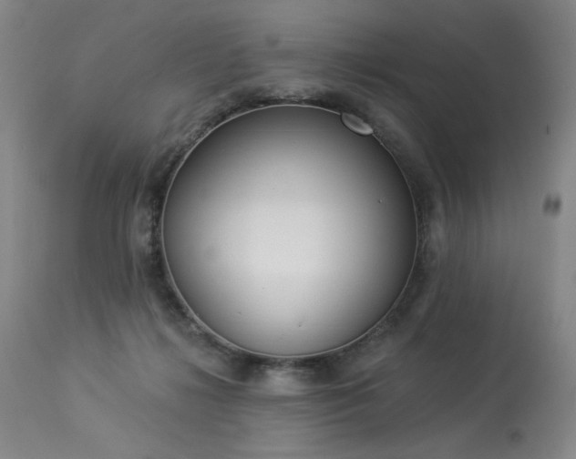 X0000113980268200910021144