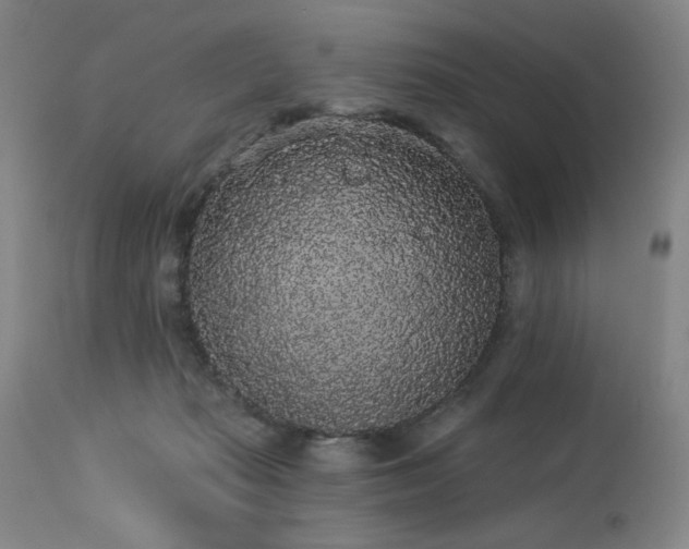 X0000113980269200910021144