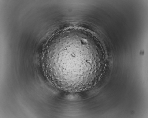 X0000113980270200910021144