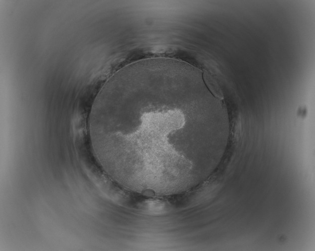 X0000113980272200910021144