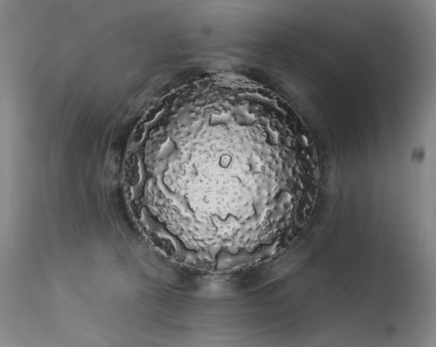 X0000113980273200910021144