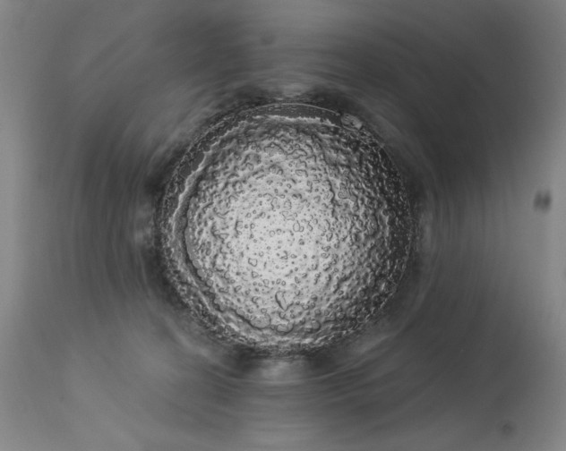 X0000113980274200910021144