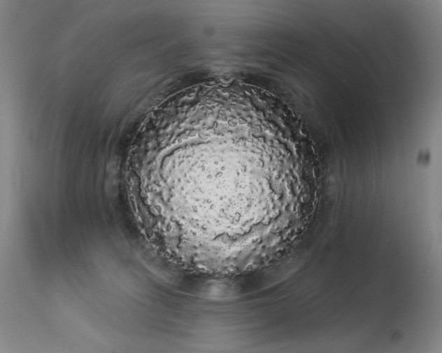 X0000113980275200910021144