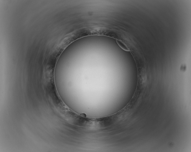 X0000113980276200910021144