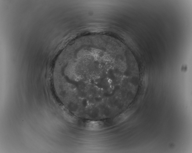 X0000113980277200910021144