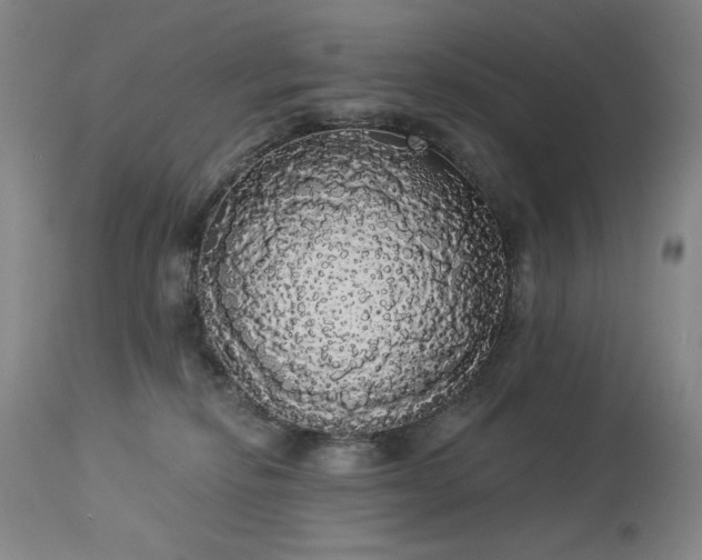 X0000113980278200910021144