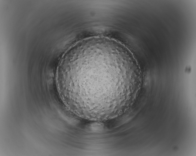 X0000113980279200910021144