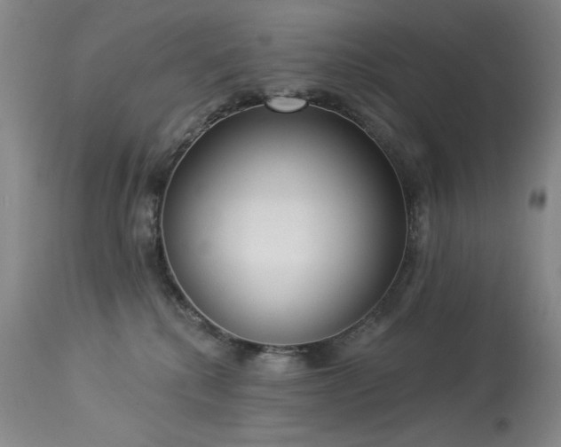 X0000113980280200910021144