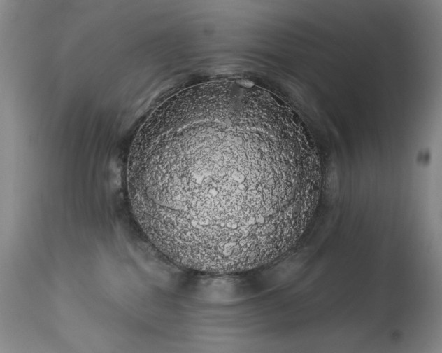 X0000113980282200910021144