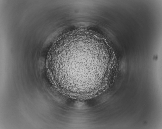 X0000113980283200910021144