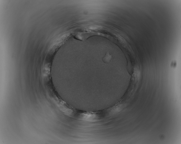 X0000113980284200910021144