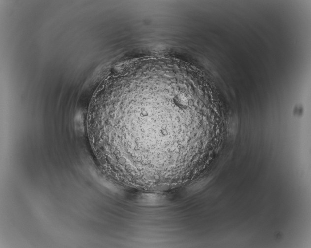 X0000113980286200910021144