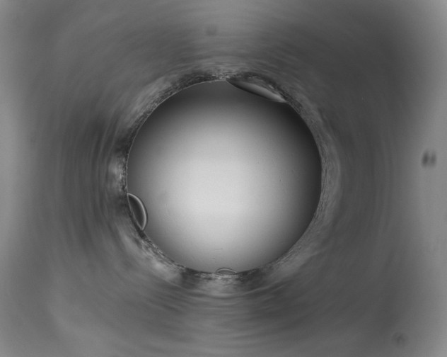 X0000113980288200910021145