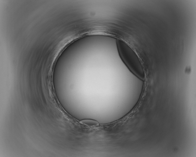 X0000113980289200910021144