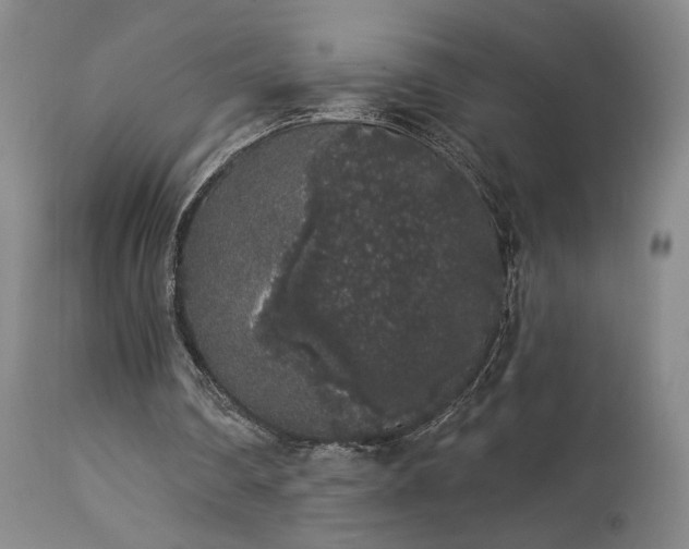 X0000113980290200910021144