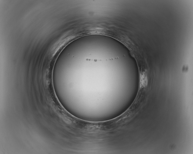 X0000113980291200910021144