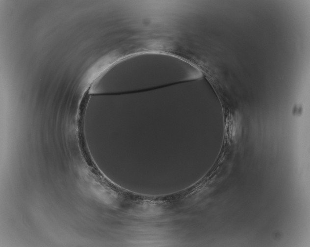 X0000113980292200910021144