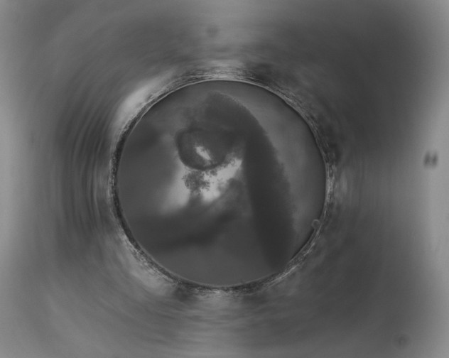 X0000113980293200910021144