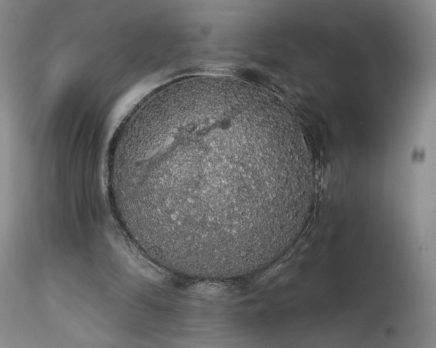 X0000113980294200910021144