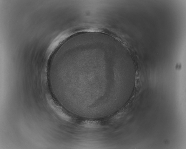 X0000113980296200910021144