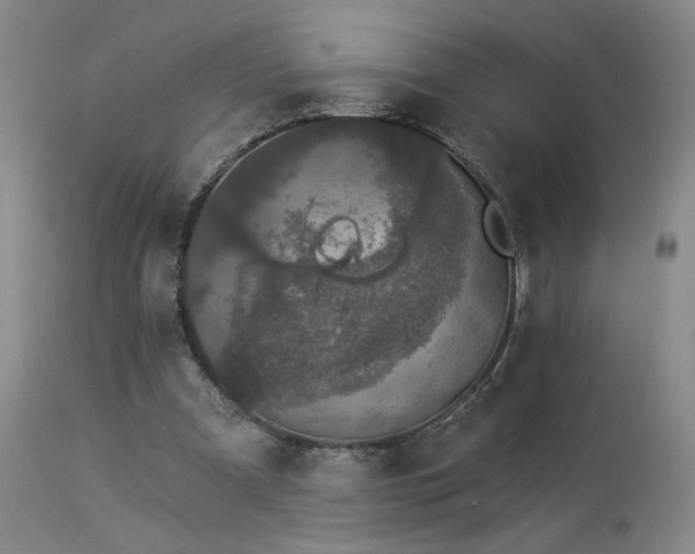 X0000113980297200910021144