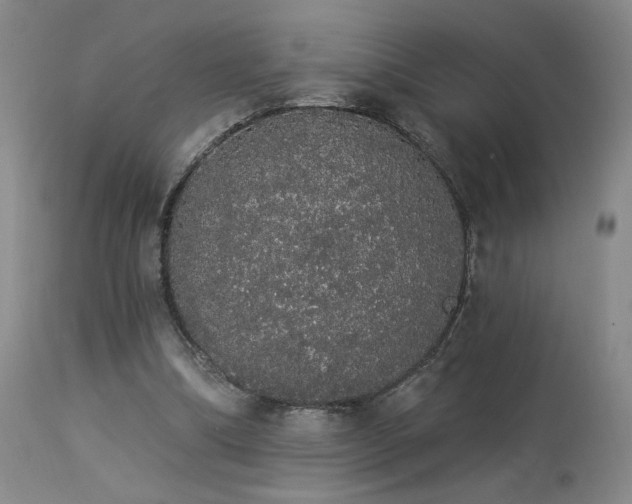 X0000113980298200910021144