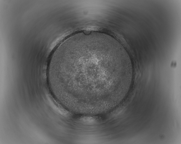 X0000113980299200910021144