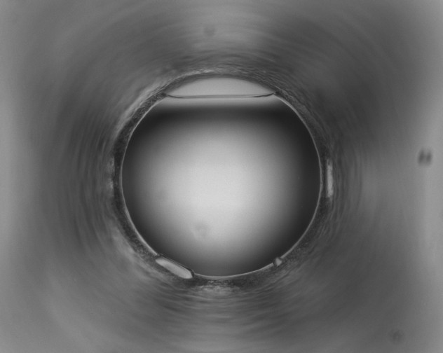 X0000113980300200910021144