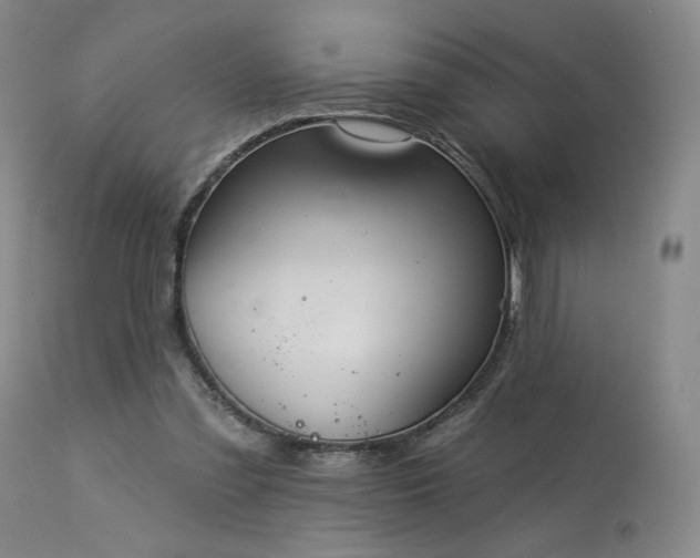 X0000113980301200910021144