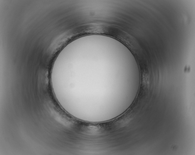 X0000113980302200910021144