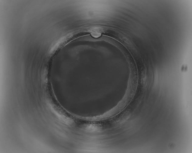 X0000113980303200910021144