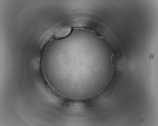 X0000113980304200910021144